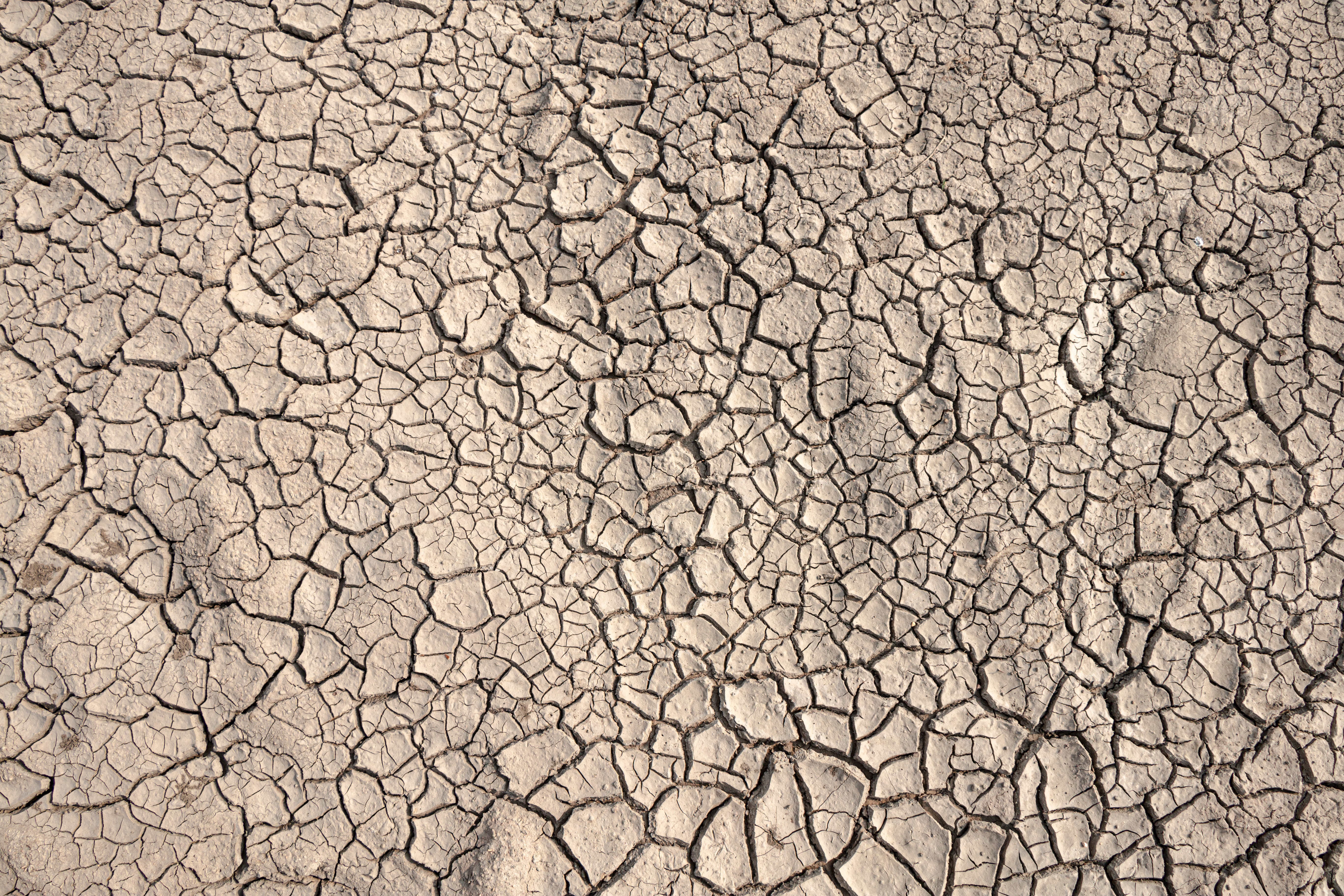 Drought conditions threaten the economy and ecosystems in South America