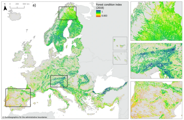 Forest ecosystem condition map for 2018. Insets illustrate condition in Boreal, Mediterranean, and Alpine forests. 