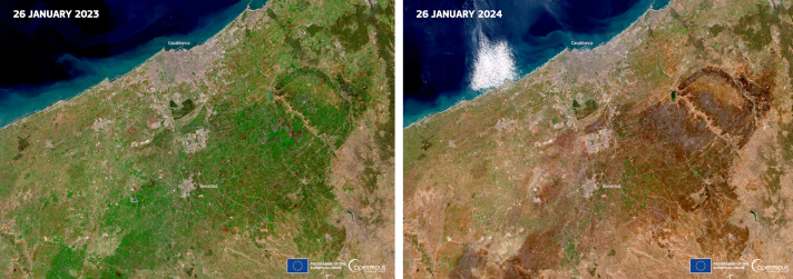Satellite images of Casablanca wider area in 2023 and 2024