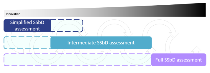 Graph overal structure of the three main levels of the SSbD assessment