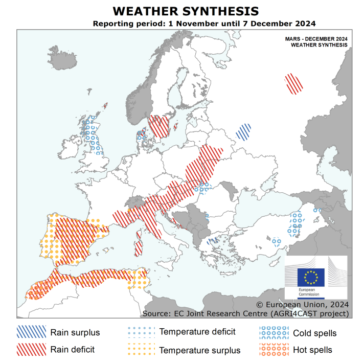 202412 Weather Sythesis