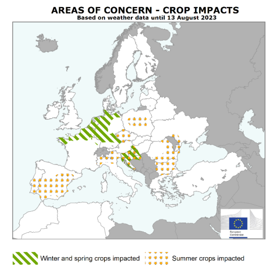 Little change to mediocre EU crop yield outlook