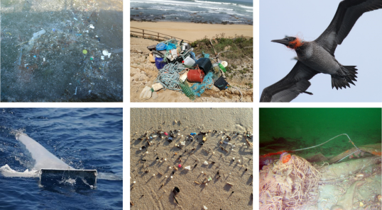 Mosaic of different photographs depicting marine litter