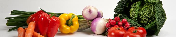 Vegetables (Food and feed safety banner)