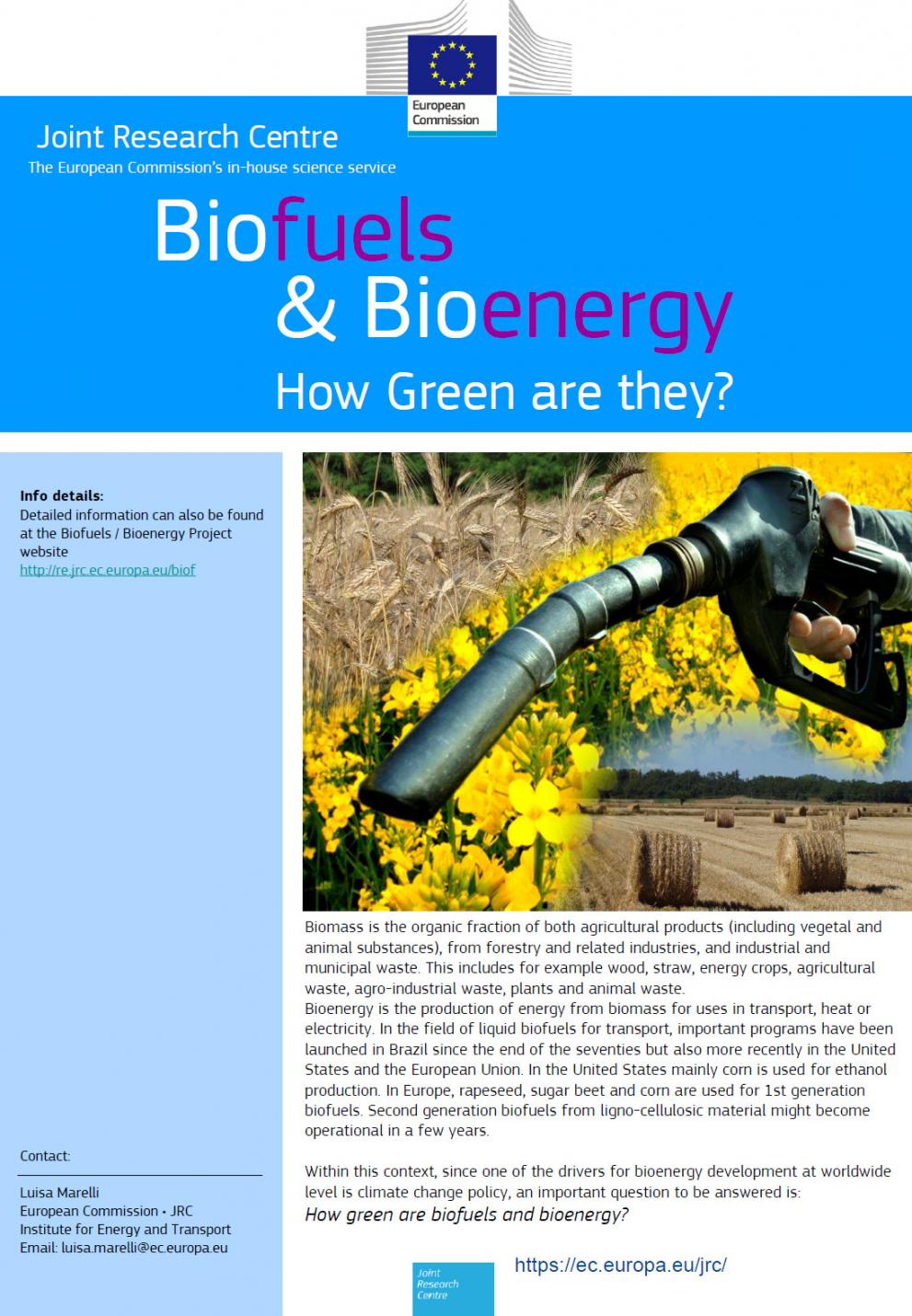 Biofuels and Bioenergy: how green are they?