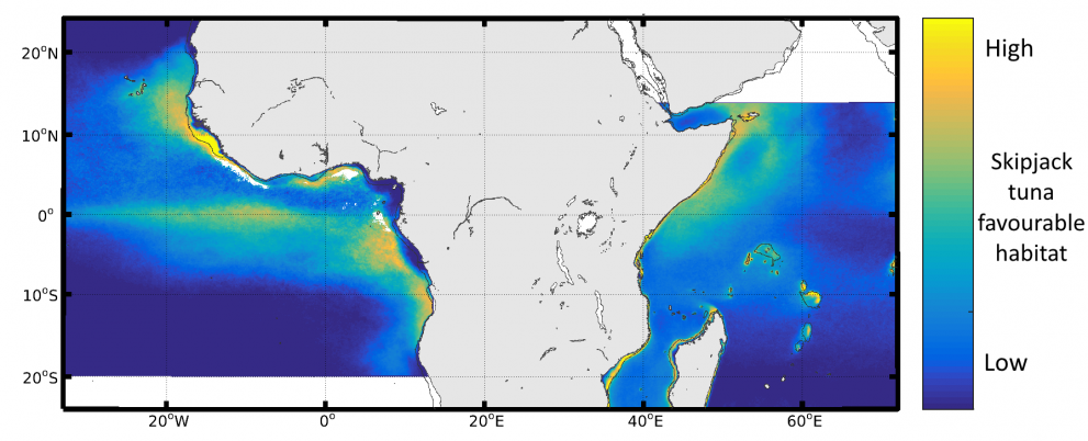 Mean distribution of favourable habitat for skipjack tuna feeding for 1998-2014 from daily estimates. This static map hides high seasonal and inter-annual variability that affects both the tuna populations and the fishing fleets.