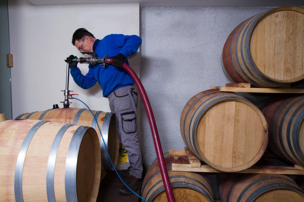 Oak barrels used for storing wine