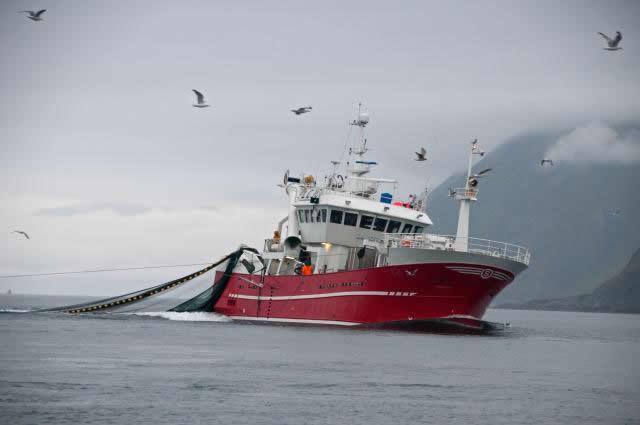The EU fishing fleet registered record-high net profits of EUR 798 million in 2015