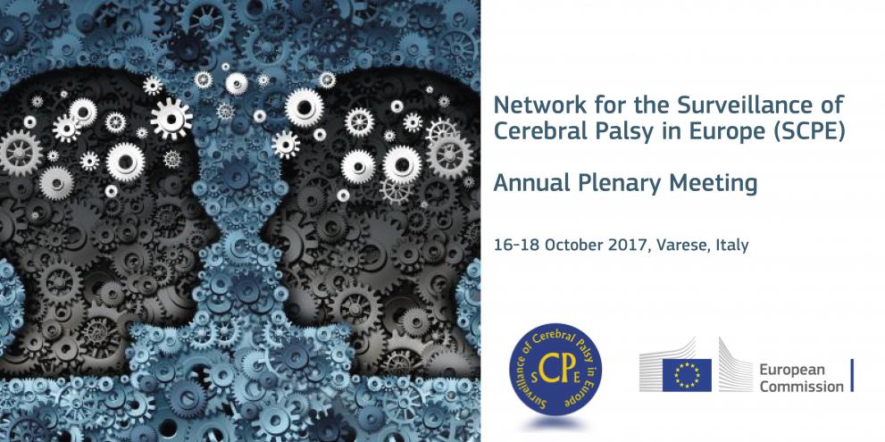Annual Plenary Meeting of the Network for the Surveillance of Cerebral Palsy