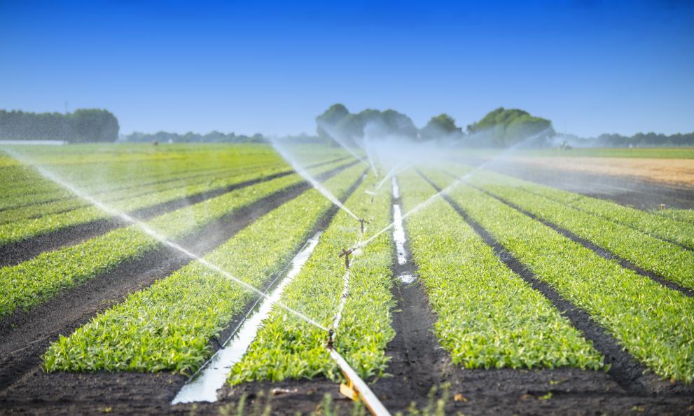 The report establishes the quality requirements to be respected for safe use of recycled water in agriculture