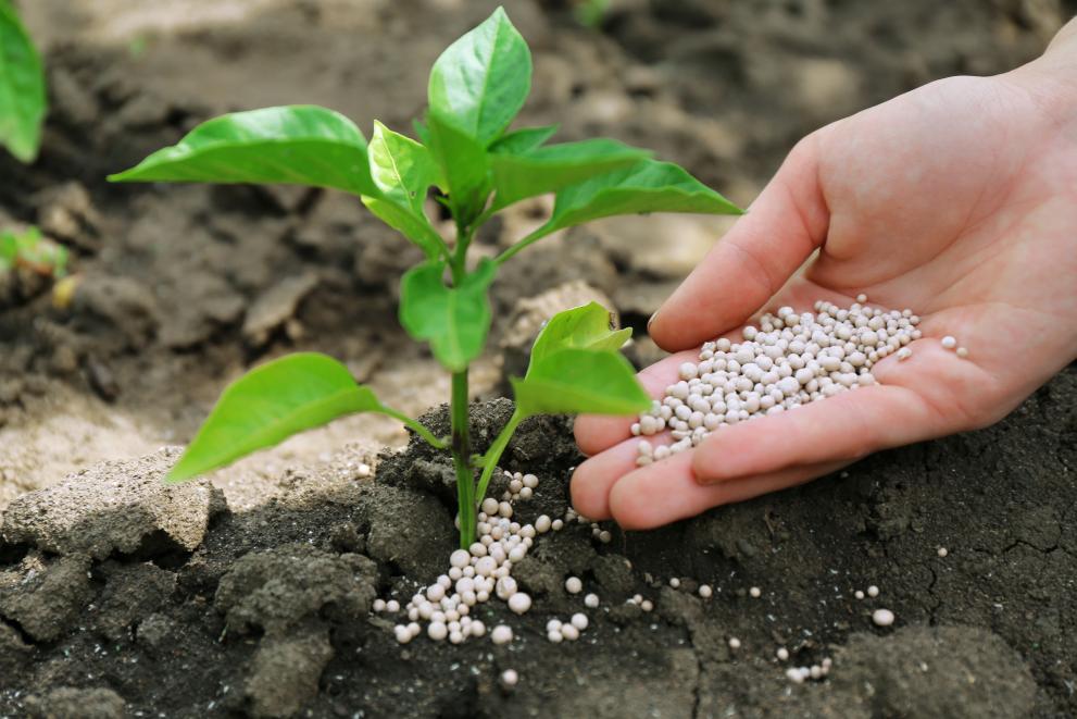 Soils can offset greenhouse gas emissions, but use of fertilisers can lead to increased N2O emissions from soil