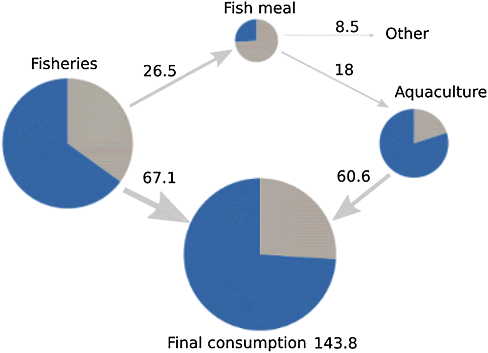 Representation of the interactions between the different sectors showing the flow of seafood products (in million tonnes) and the share of the supply with domestic (blue) or international (grey) origin for 2011.