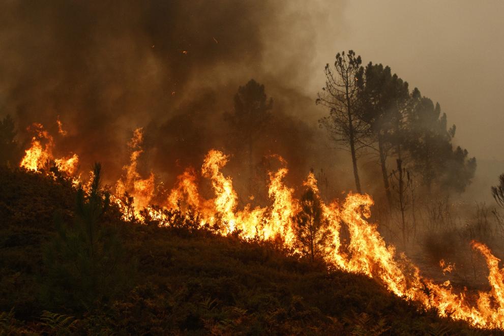Unusually dry summers in central and northern Europe have led to large fires in countries which have historically seen very few