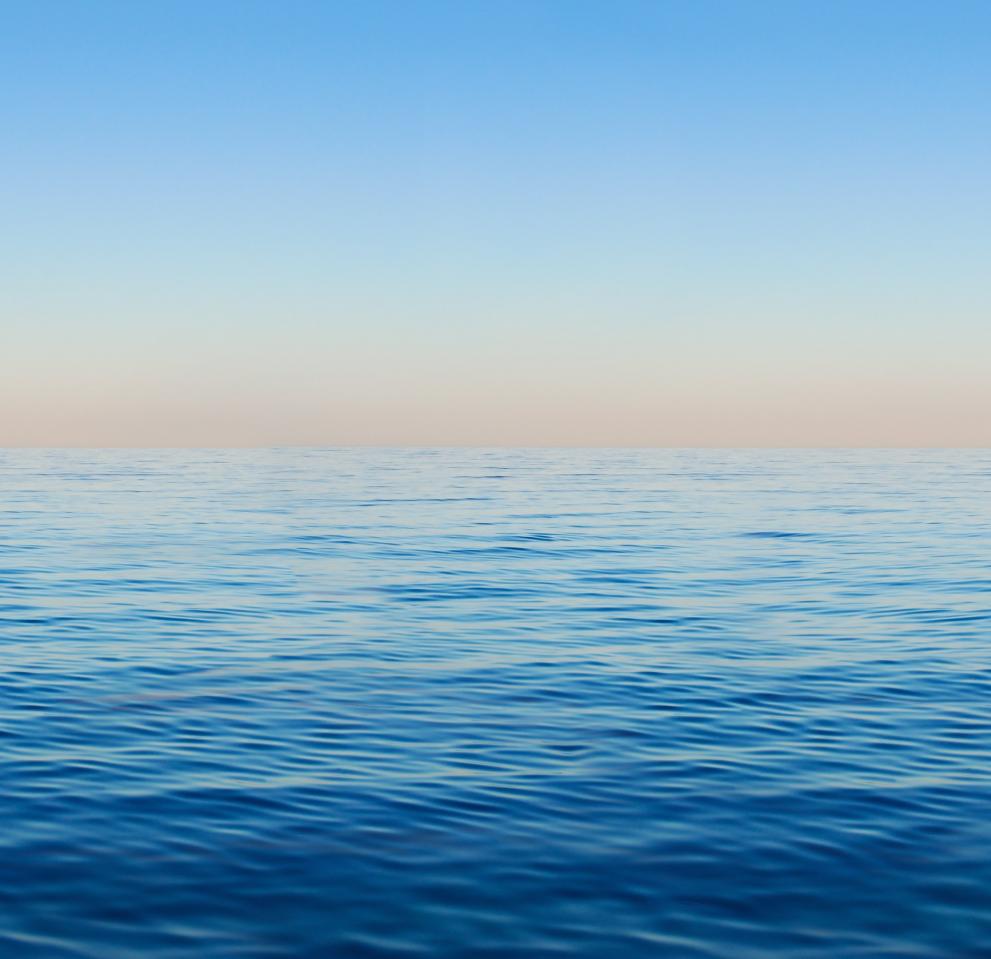The JRC is directly responsible for three EU commitments to protect the health of our oceans