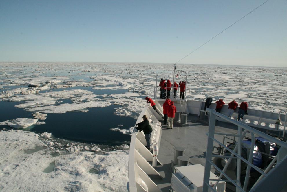 Scientists assessed ten case studies to identify the impact of insights gained from monitoring the Arctic