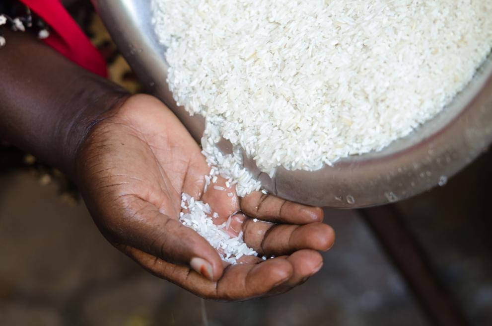 rice_spilling_into_black_african_womans_hand_by_riccardo_niels_mayer_c_adobestock_171480889.jpeg