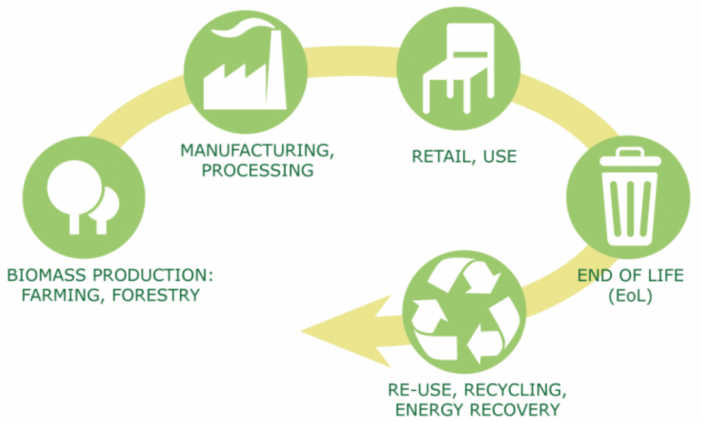 Life Cycle Assessment Of The Environmental Impacts Of The Bioeconomy