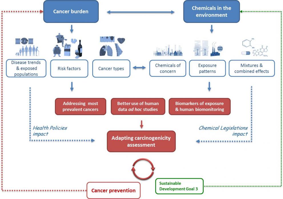 adapting_carcinogenicity_assessment.jpg