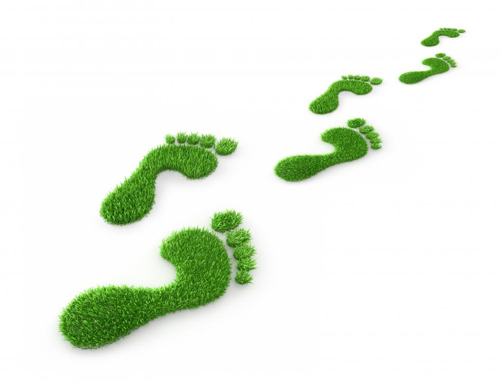 green_footprints_c_adobestock_72712379.jpeg