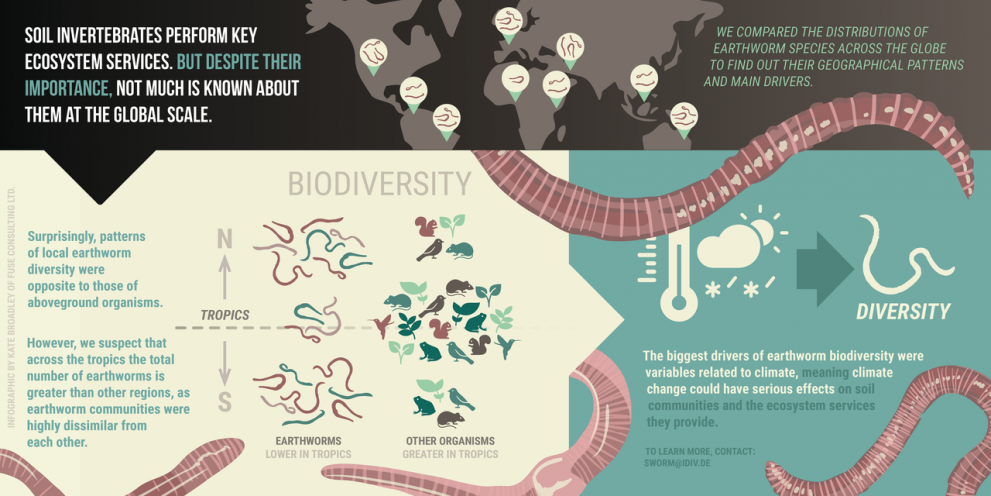 20191025-phillips_earthwormbiodiversity_infographic.png