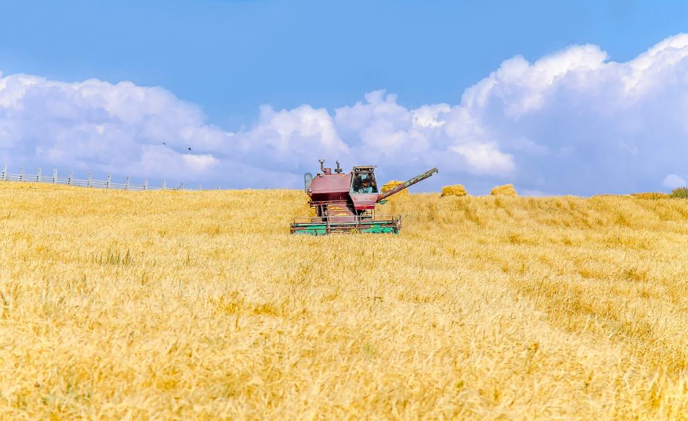agricultural_machinery_harvester_on_a_wheat_field_on_a_sky_background_landscape_c_adobestock_by_kvdkz_219892492.jpeg