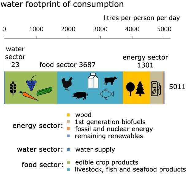 The water footprint of consumption in the EU in for the water, food and energy sectors.