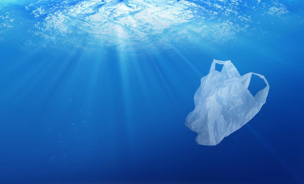 environmental_protection_concept._plastic_bag_pollution_in_ocean_c_adobestock_by_memorystockphoto_213066248.jpeg