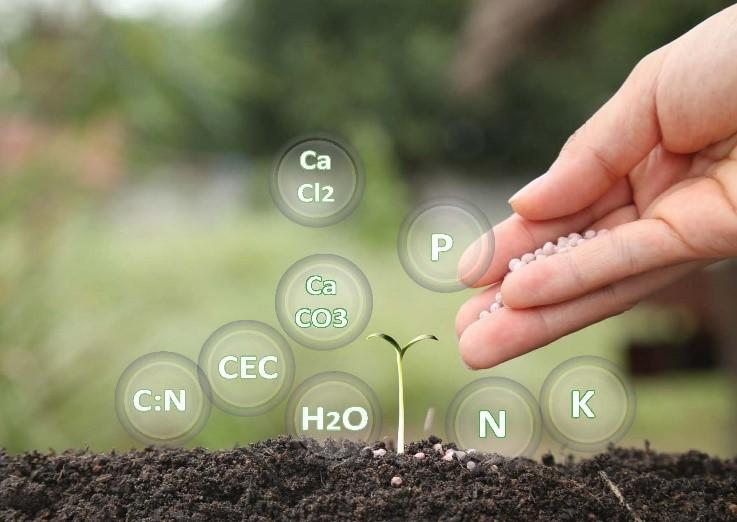 Adding chemical fertilizers to soil can help boost plant growth.
