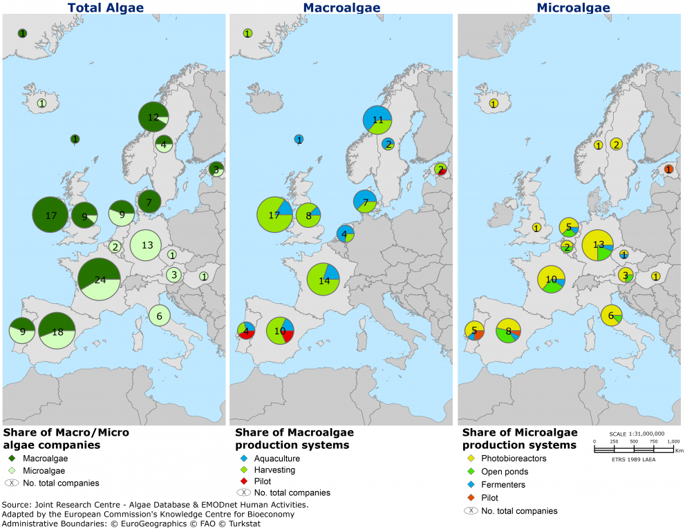 20200117-european-algae-production_shares_brief_updated_002.png