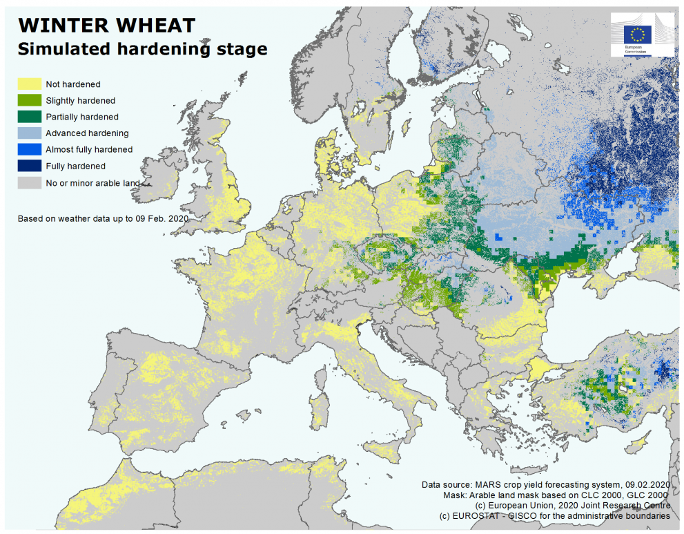 20200217-mars-wheat-hardening.png