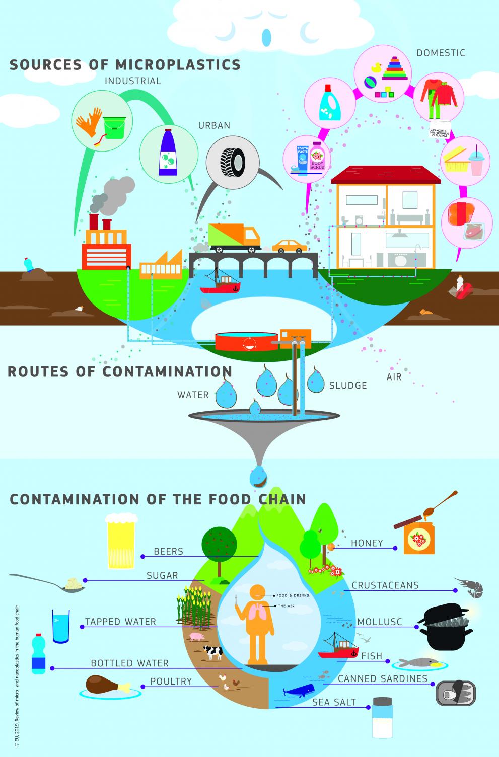 The routes of microplastic particles to humans