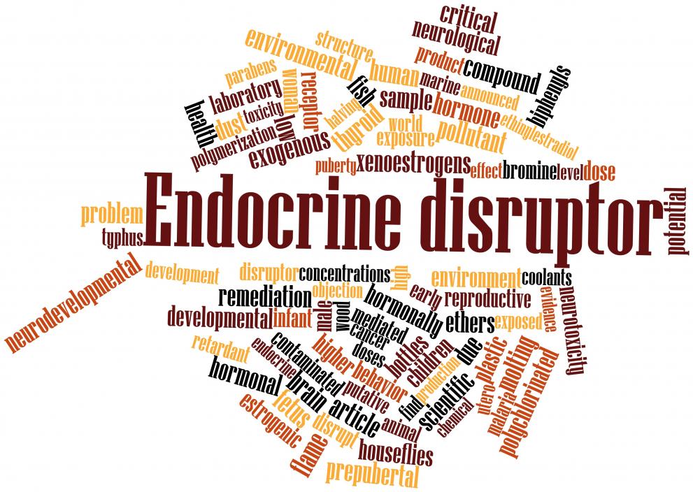 Endocrine disruptors are chemical substances which affect the hormonal (endocrine) system.