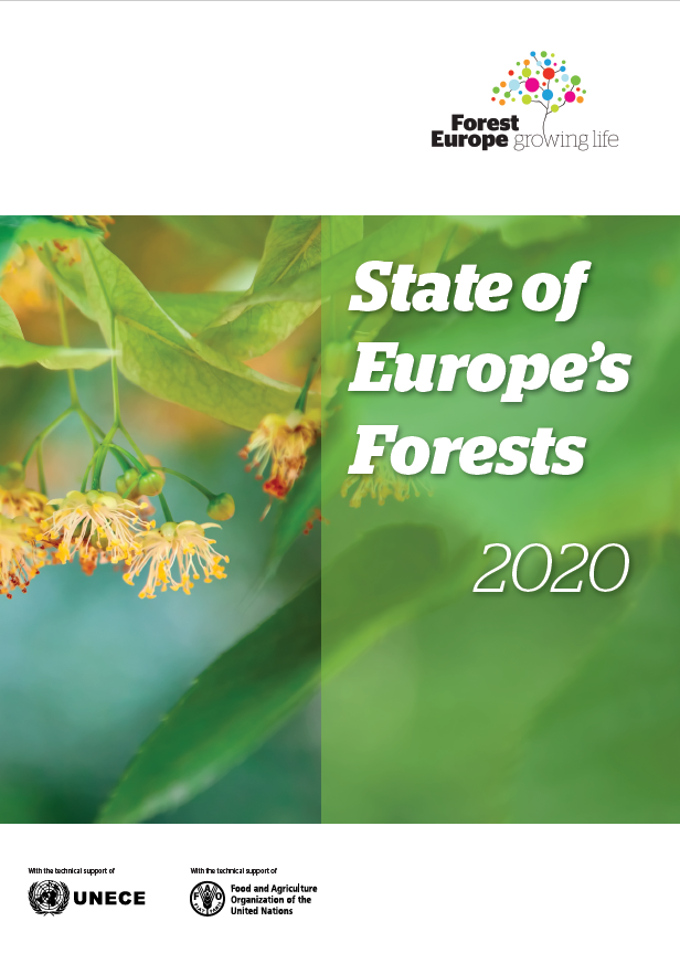 How Have European Forests Evolved Over The Past 30 Years European   20210114 Soef2020 