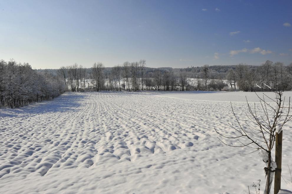 arable_farming_under_snow_cover_c_elmar_gubisch_-_adobestock_358331136.jpeg