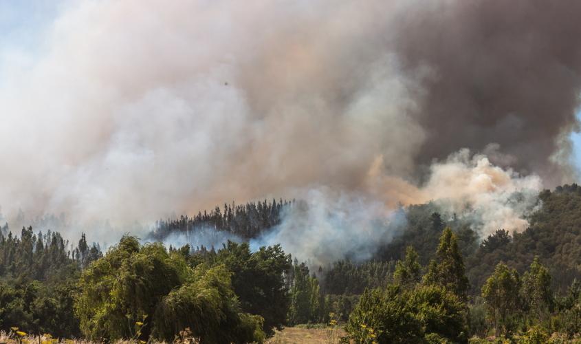 Wildfires can have catastrophic effects such as land degradation, deforestation, or biomass burning emissions.