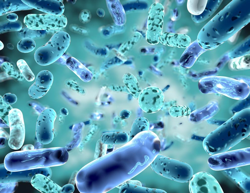 Recent research shows for the first time that Covid-19 replicates in the gut bacteria