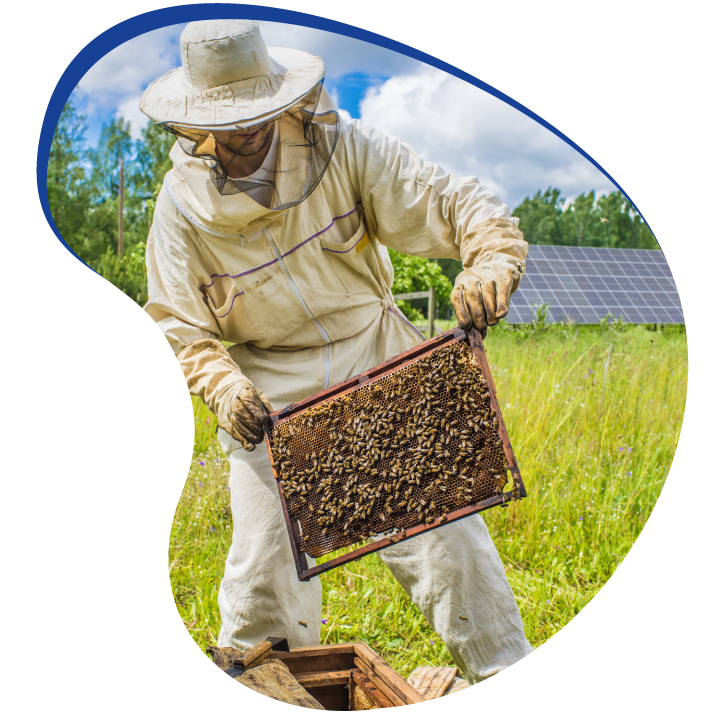 SVF - Beekeeping farmer
