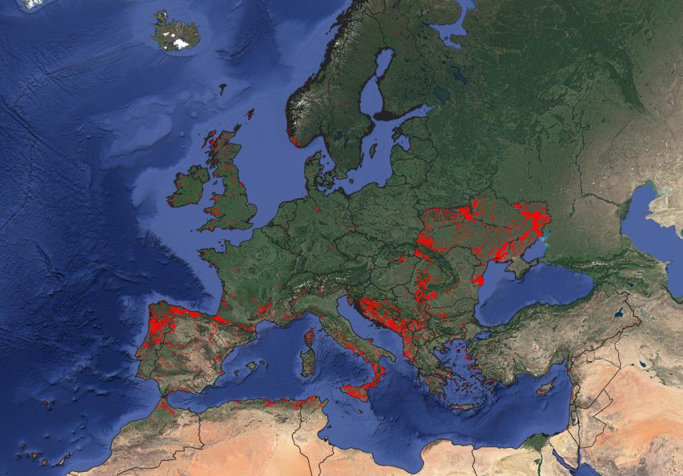 Map of the EU spoting Natura 2000 protected sites affected by fires.