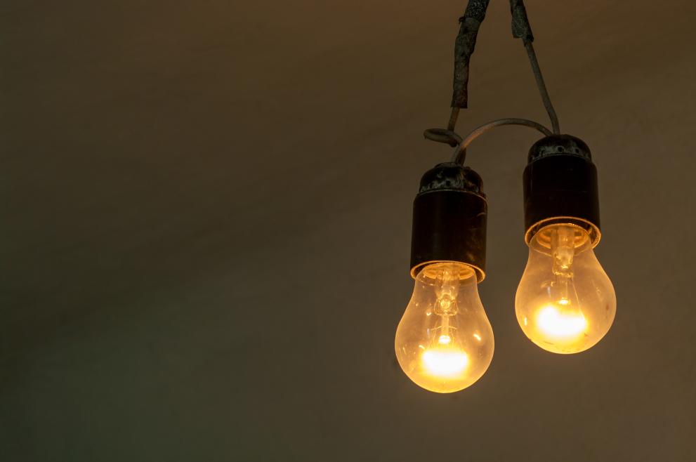 Image of bulbs