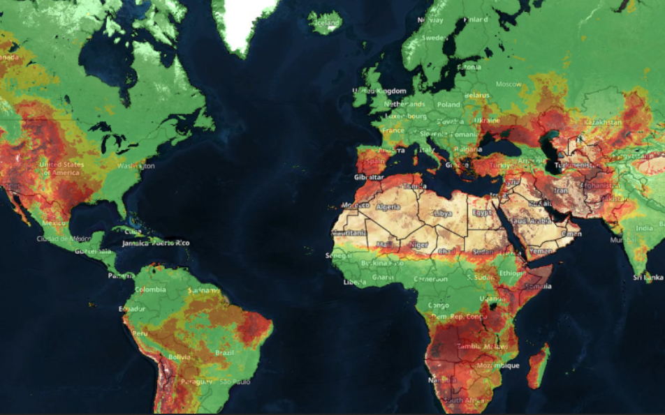 Global Wildfire Map GWIS