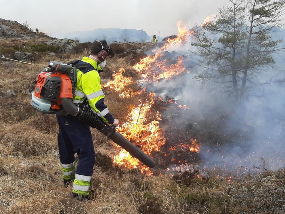 Image showing prescribed burning as prevention measure in Norway.
