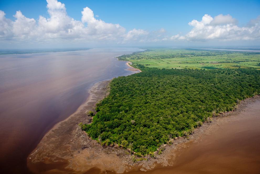 Aerial image of Legaan island, Guyana