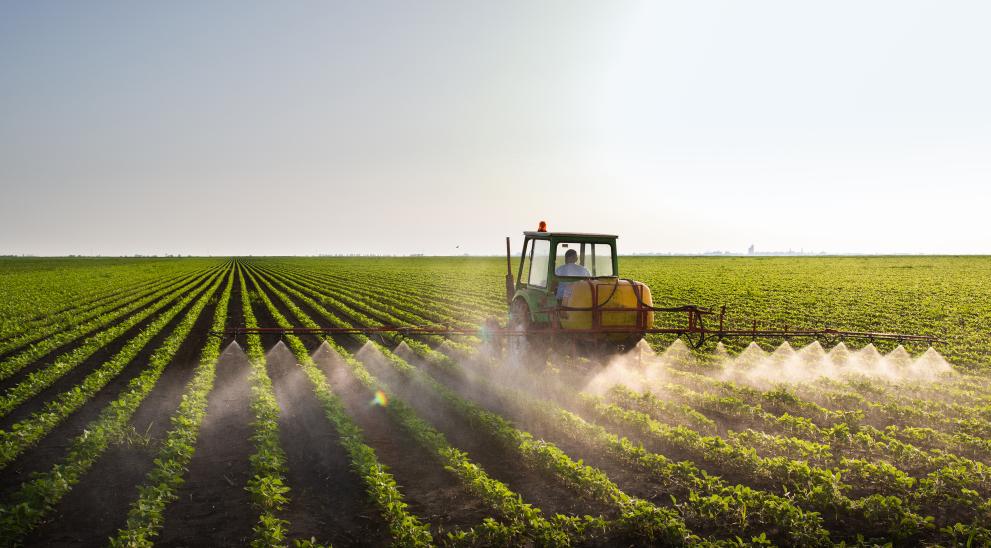Tractor spraying soybean field 