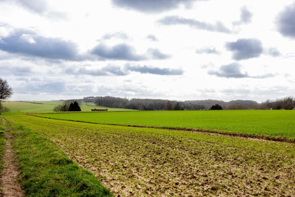 Image of agricultural fields