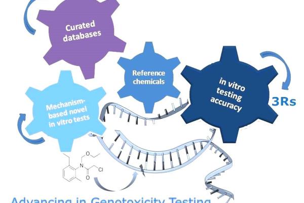 advancing_in_genotoxicity_testing.jpg