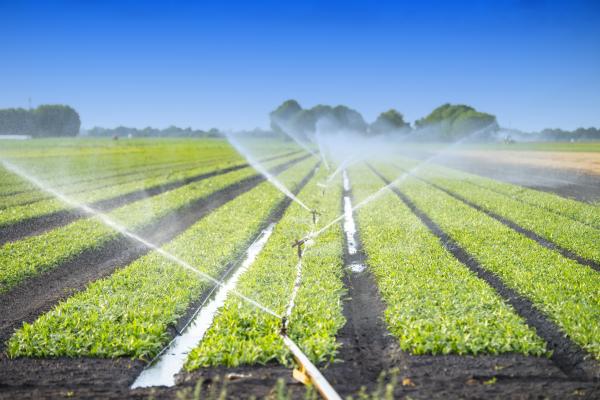 The report establishes the quality requirements to be respected for safe use of recycled water in agriculture