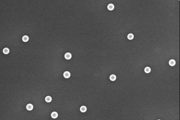 Polystyrene nanoparticles of 100 nm in diameter acquired by scanning electron microscopy