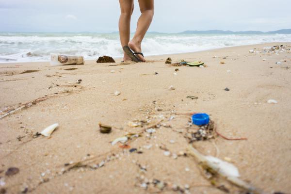 Plastic bottle caps and cigarette butts are among the most common litter items found on European beaches.