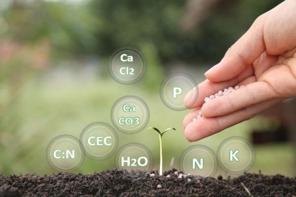 Adding chemical fertilizers to soil can help boost plant growth.