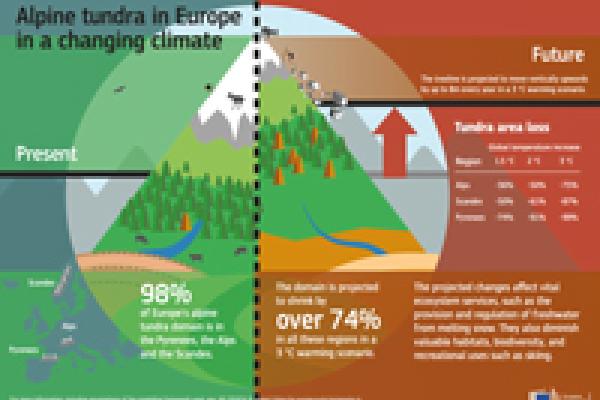 thumb-infographic-peseta-alpine.jpg